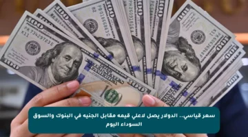 سعر قياسي.. الدولار يصل لأعلى قيمة مقابل الجنيه في البنوك والسوق السوداء اليوم